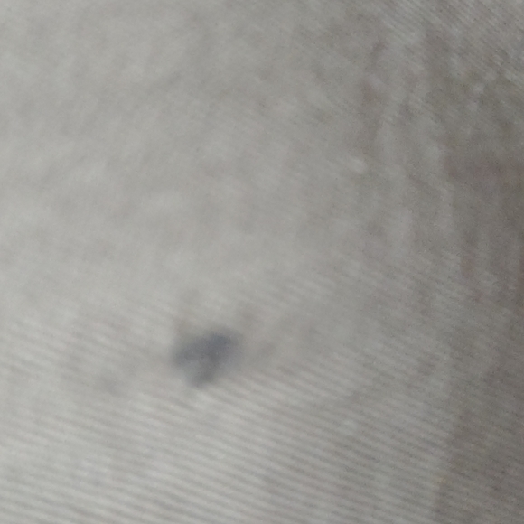 Donna Karen Coat - Picture 7 of 10